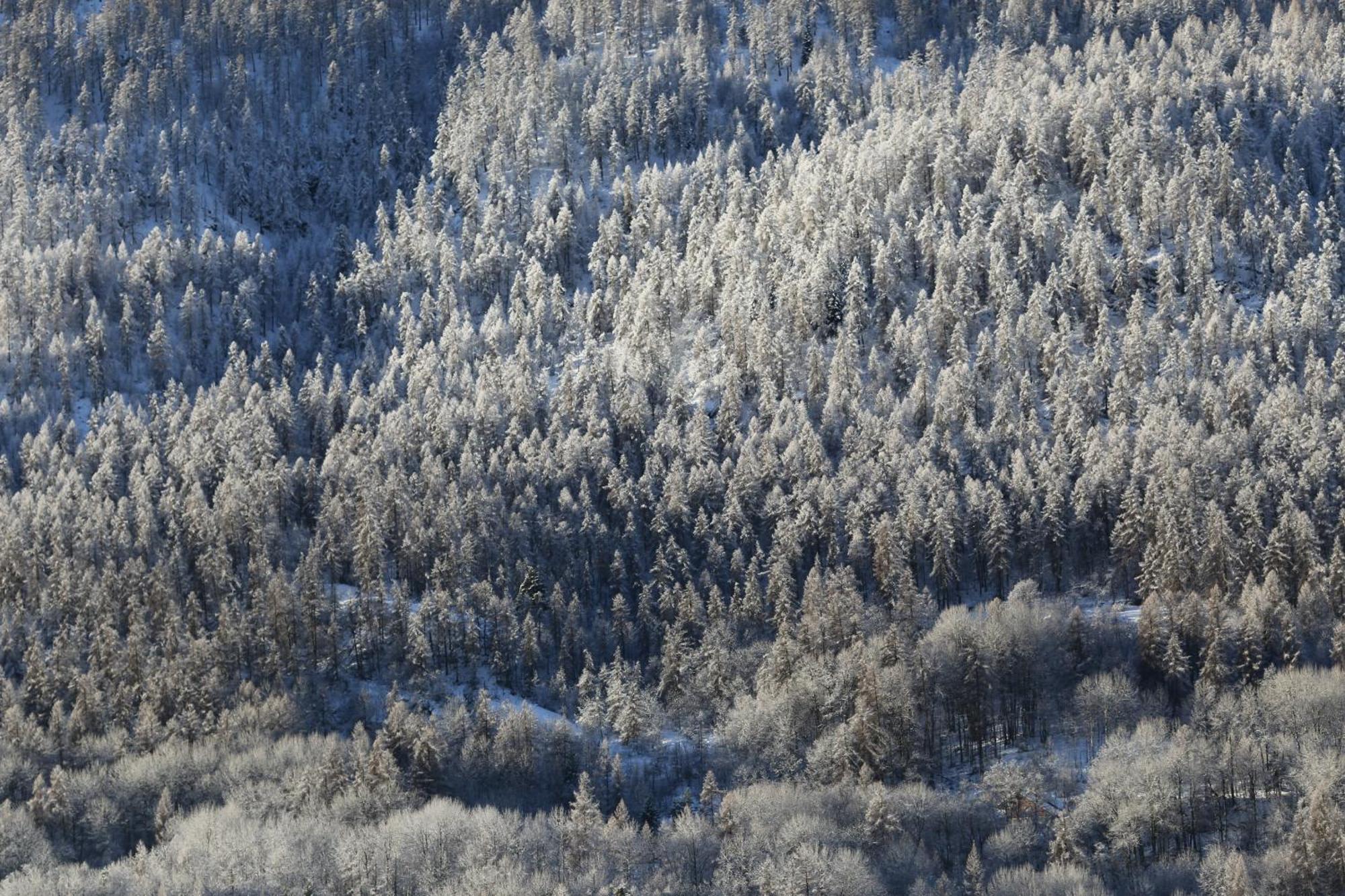 Maison De Montagne Serre Chevalier سا شيفري المظهر الخارجي الصورة